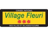 Village fleuri